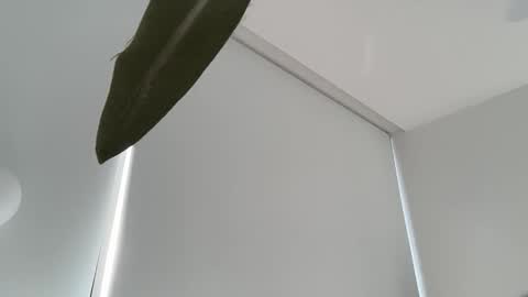 Olivia Brookes online show from 12.04.25