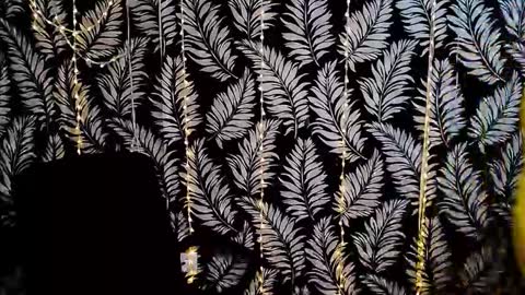 Kelly online show from 11.29.25