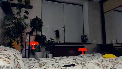 Ana online show from 02.22.25