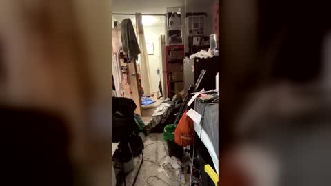 TsJojo online show from 02.06.26