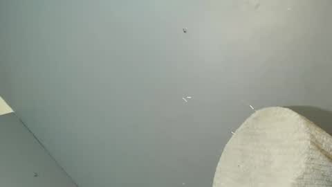 ARA online show from 10.26.25