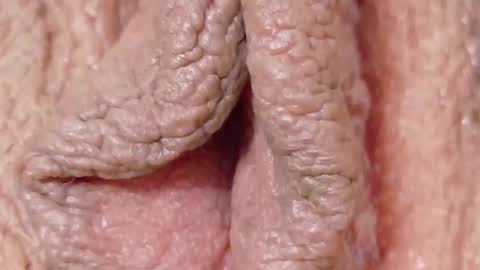 Snapshot of orchidekitty chatting on 02.01.26 orchidekitty online show from 02.01.26