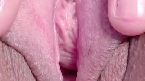 orchidekitty online show from 03.18.26