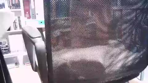 Snapshot of oren57 chatting on 03.01.25 oren online show from 03.01.25