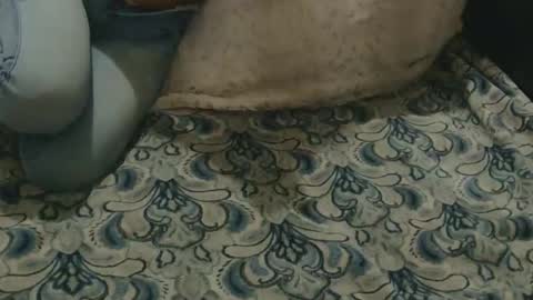 originalcali95 online show from 02.03.26