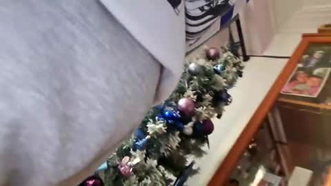 orlandovilla48 online show from 12.05.25