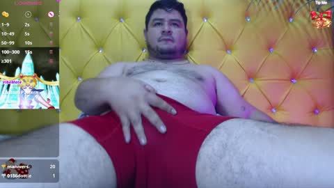 Bear Gael online show from 12.11.24