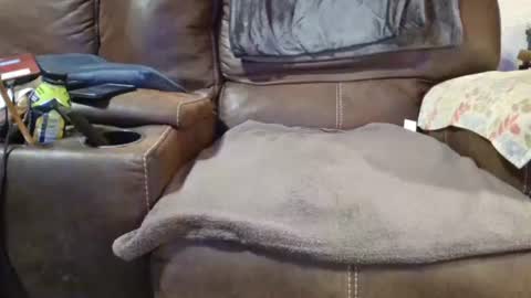 Snapshot of outdoorsmanmark71 chatting on 12.19.24 outdoorsmanmark71 online show from 12.19.24