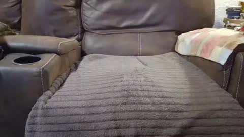 Snapshot of outdoorsmanmark71 chatting on 09.10.25 outdoorsmanmark71 online show from 09.10.25