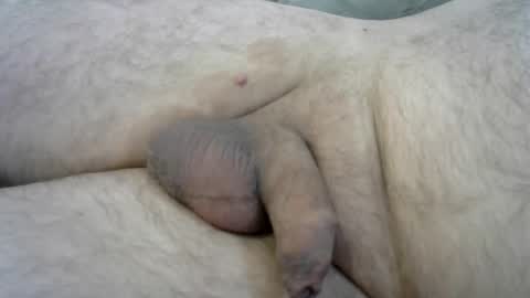 ovid77 online show from 10.15.25