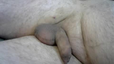 ovid77 online show from 10.16.25