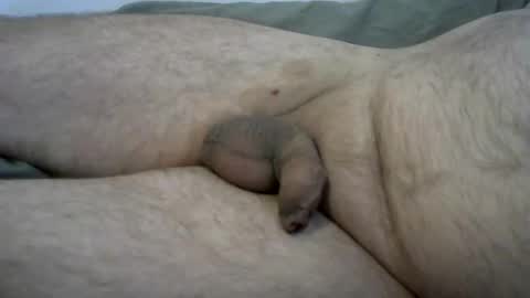 ovid77 online show from 10.22.25