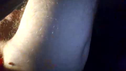 p313883 online show from 03.01.26