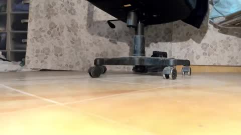 Pablo Meness online show from 12.17.25