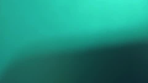   PALA online show from 03.08.25