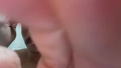   PALA online show from 01.16.26