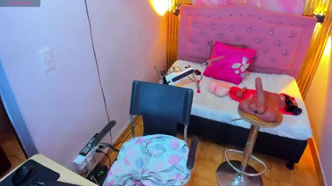 PALOMA 3 online show from 04.01.26