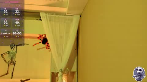  P A M  online show from 10.12.25