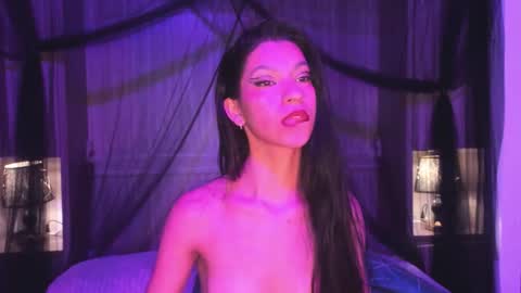  P A M  online show from 01.11.26