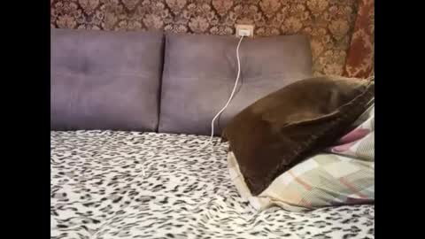 Snapshot of pancamo1000 chatting on 01.05.25 Pancamo online show from 01.05.25