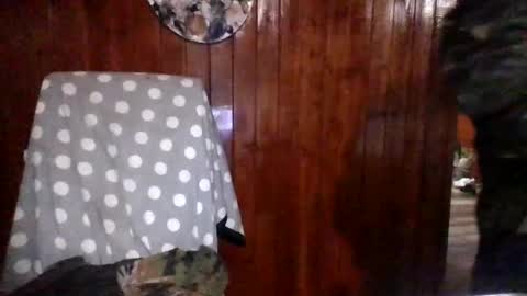 panditernurita12 online show from 03.14.26