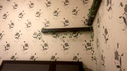 Kate online show from 10.24.25