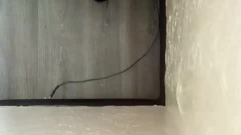 pantieplaytime52532 online show from 12.25.24