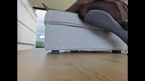 pantyhose_ggggg online show from 06.03.26