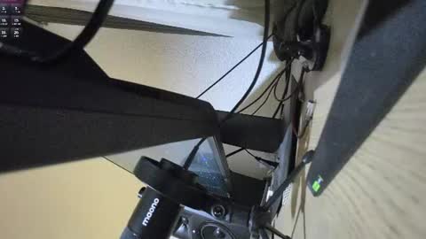 papilovesclits online show from 06.21.26