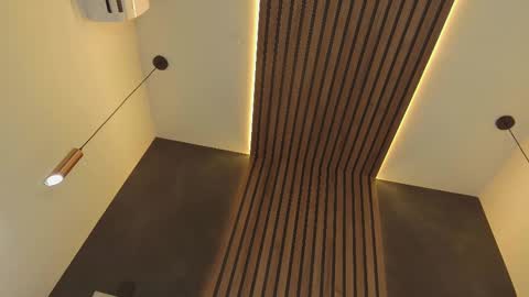 PARIS online show from 02.21.25