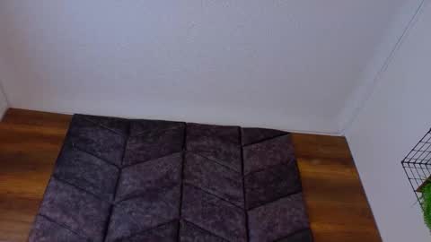 PARIS online show from 02.18.26