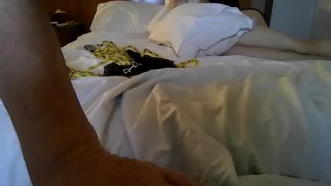 partyplaynfuc online show from 03.13.26