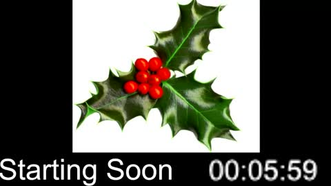 Passion4Fashion online show from 12.25.24