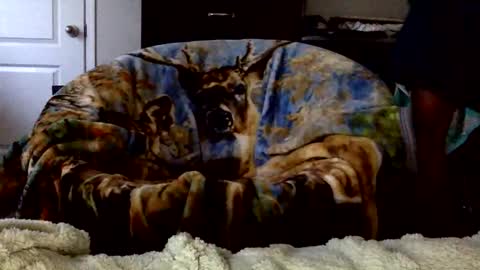 patdaddy12 online show from 04.16.26