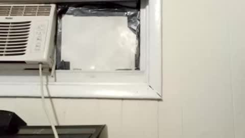 JD online show from 03.01.25