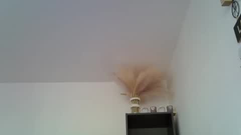 patrick5275 online show from 12.16.24