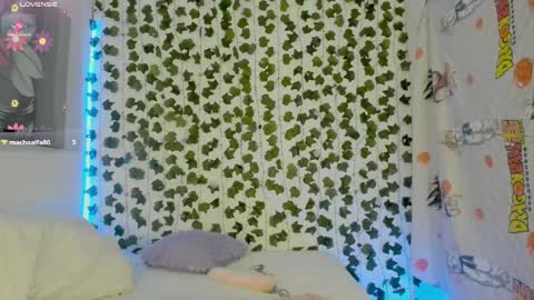 paulina online show from 02.11.25
