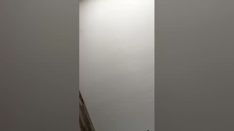 paul856963 online show from 03.09.26