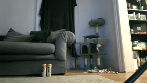 shy online show from 04.12.26