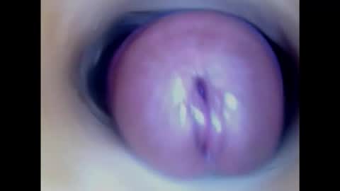 Snapshot of paulainoscente chatting on 01.23.25 Paula 18 Aninhos online show from 01.23.25