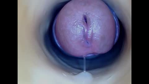 Paula 18 Aninhos online show from 02.02.26