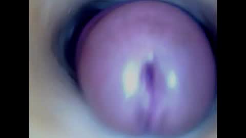 Paula 18 Aninhos online show from 02.14.26