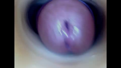 Paula 18 Aninhos online show from 03.02.26