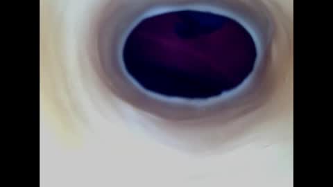 Paula 18 Aninhos online show from 03.27.26