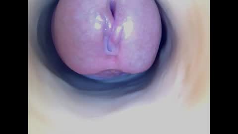 Paula 18 Aninhos online show from 04.07.26