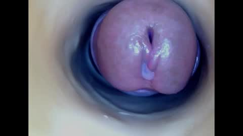 Paula 18 Aninhos online show from 04.13.26