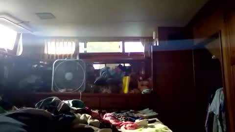 Pavone splash online show from 01.09.26