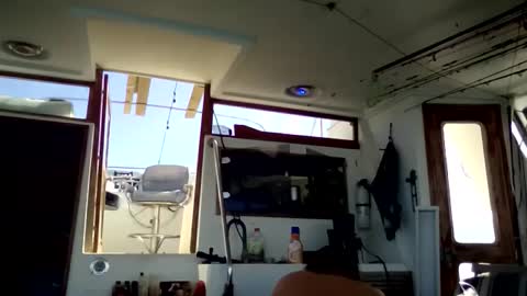 Pavone splash online show from 01.10.26