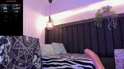 Dani online show from 12.17.24