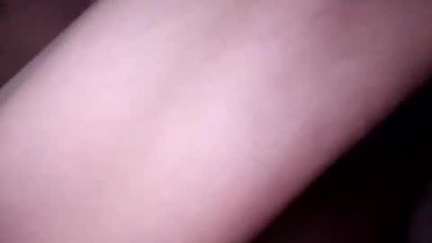 Paw online show from 01.11.25